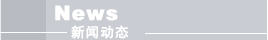 新闻动态