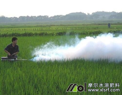 水溶肥和液体肥正确用法 水溶肥和液体肥正确用法