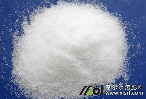 大蒜水溶肥使用注意 大蒜水溶肥使用注意