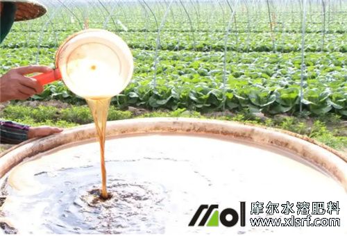鱼蛋白水溶肥施用 鱼蛋白水溶肥施用