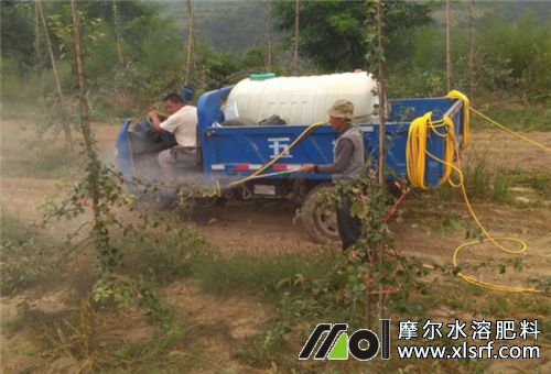 水溶肥喷施用法 水溶肥喷施用法