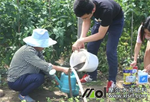 水溶肥用后一天下雨问题 水溶肥用后一天下雨问题