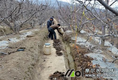 果园施底肥 果园施底肥