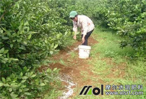 一亩果园用肥量 一亩果园用肥量